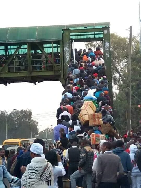 People walking on a trail in Nairobi